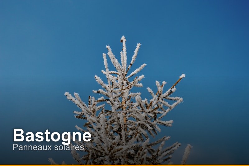 Panneaux solaires à Bastogne, Belgique - Trouvez un professionnel