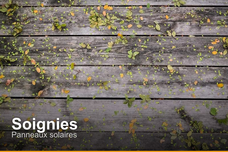 Panneaux solaires à Soignies, Belgique - Trouvez un professionnel